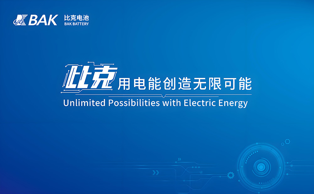 比克电池2.jpg